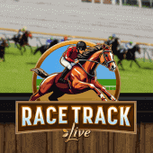 Race Track game screenshot